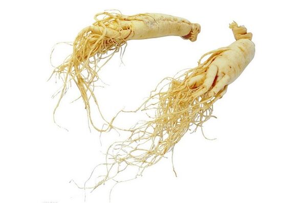 Rădăcina de ginseng – un remediu popular pentru creșterea potenței masculine
